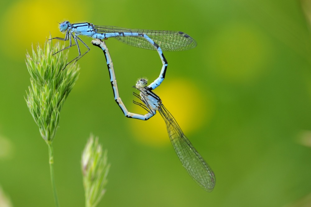 10. Platz Robert Seitz